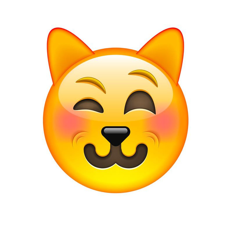 E060. Maska papierowa Emoji – na twarz, z gumką